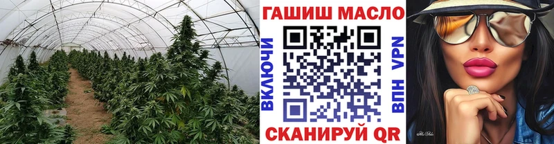 купить наркоту Орск ТГК концентрат
